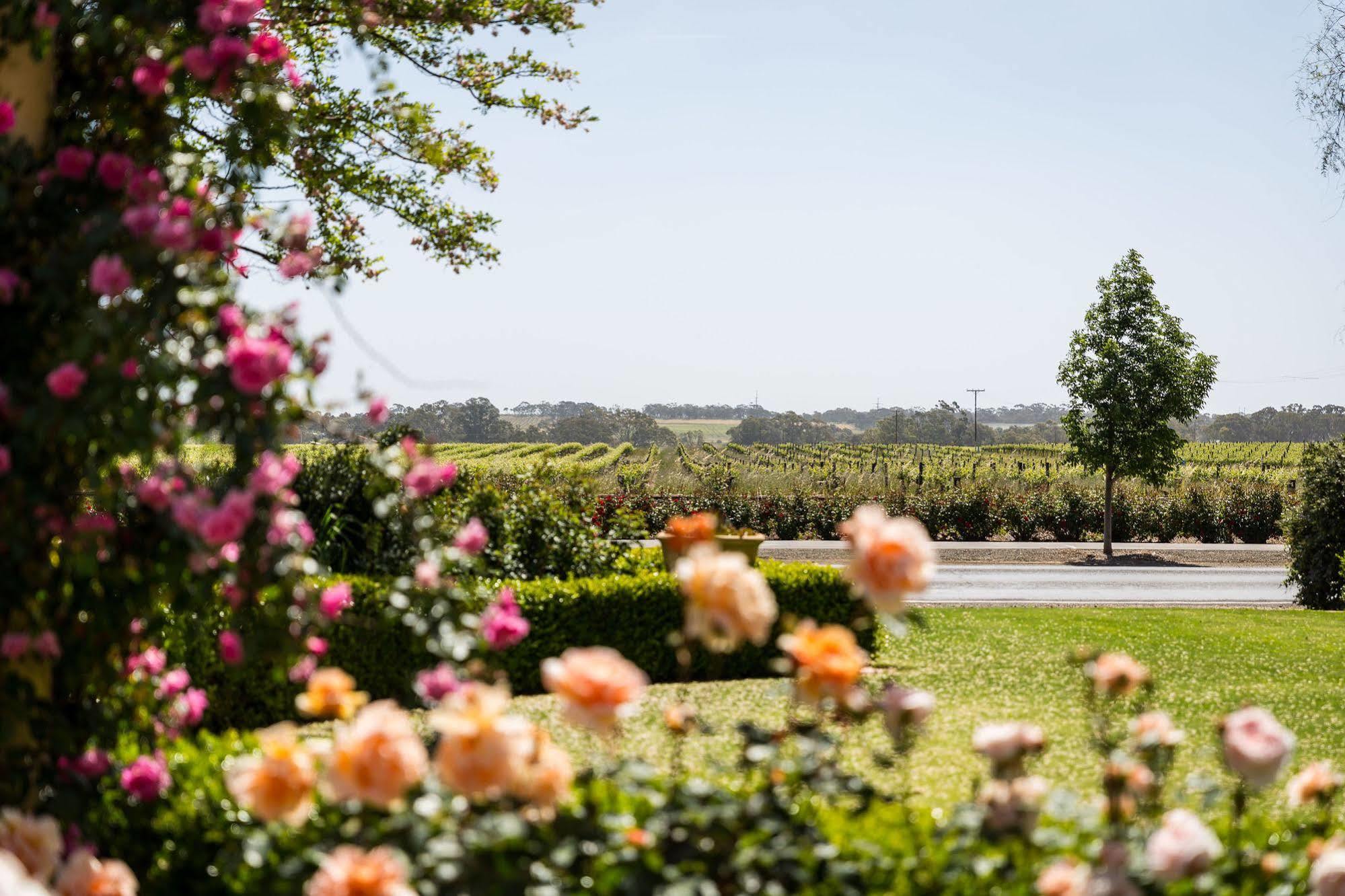 Barossa House Bed and Breakfast Tanunda Eksteriør billede