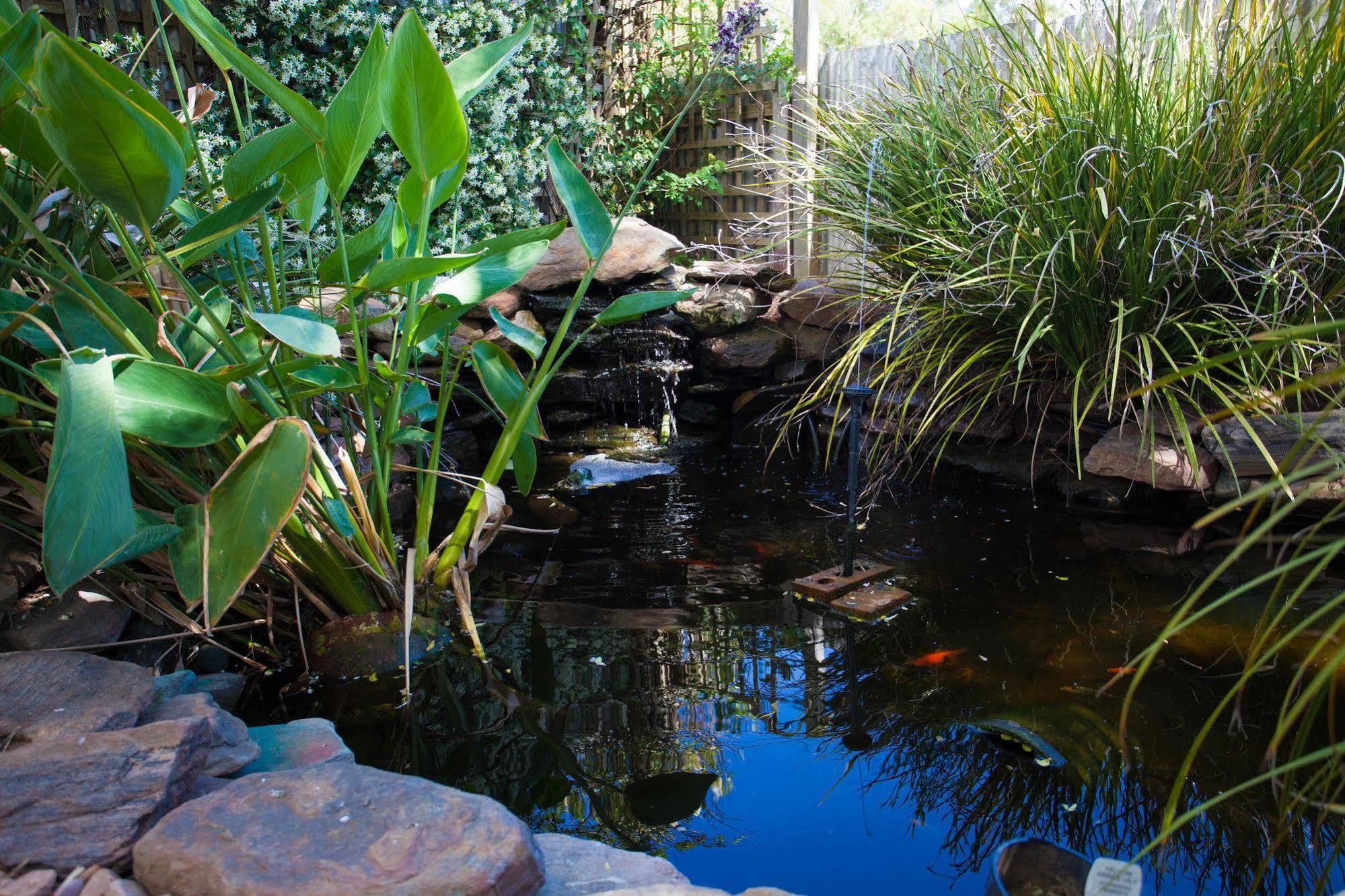 Barossa House Bed and Breakfast Tanunda Eksteriør billede